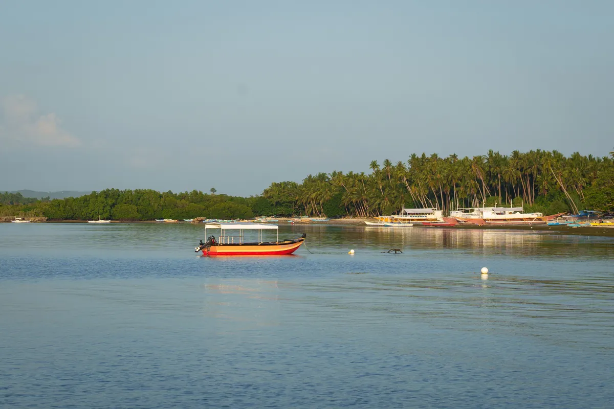 Photo: Kaiser Concha (Pexels License) A quiet bay with an outrigger boat and a palm-lined shore in Central Visayas, Philippines