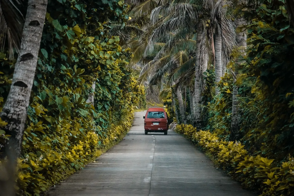 Photo: Richard Galapate (Pexels License) A van on a road lined with palm trees in the Philippines
