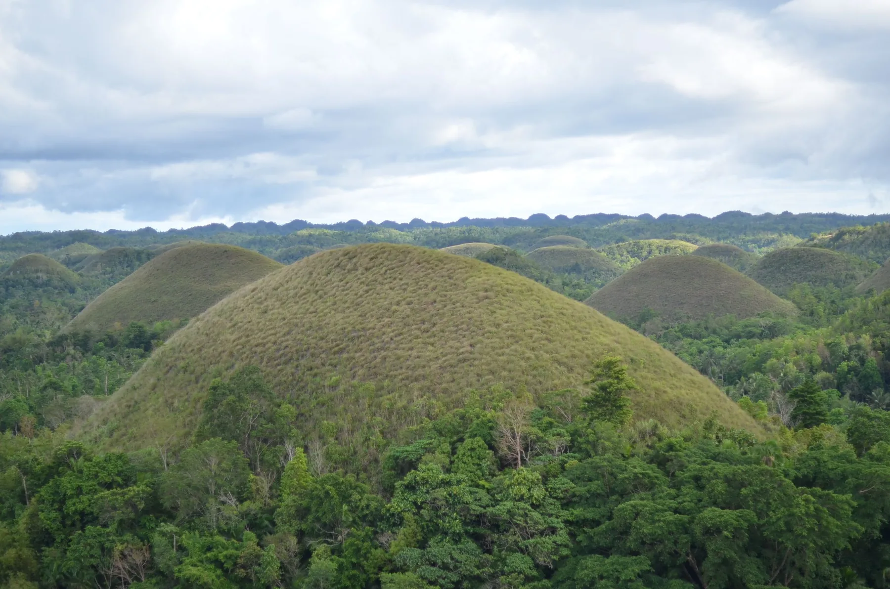 Photo: Jon Discipulo (Pexels License) The Chocolate Hills rising above the countryside in Bohol, Philippines